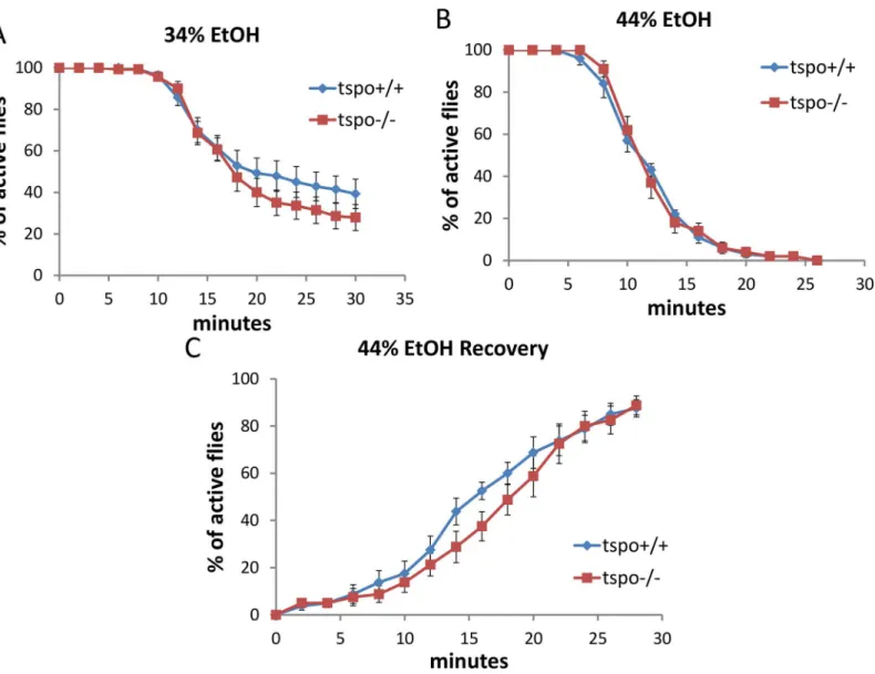 Fig 3. Comparable ethanol sensitivity in female tspo-/- and tspo +/+ flies. (A) With 34% ethanol vapor, half sedation time for tspo+/+ was 23.0 ± 2.5 min and for tspo-/- was 20.0 ± 1.7 min, p &gt; 0.05, n = 14 vials tested