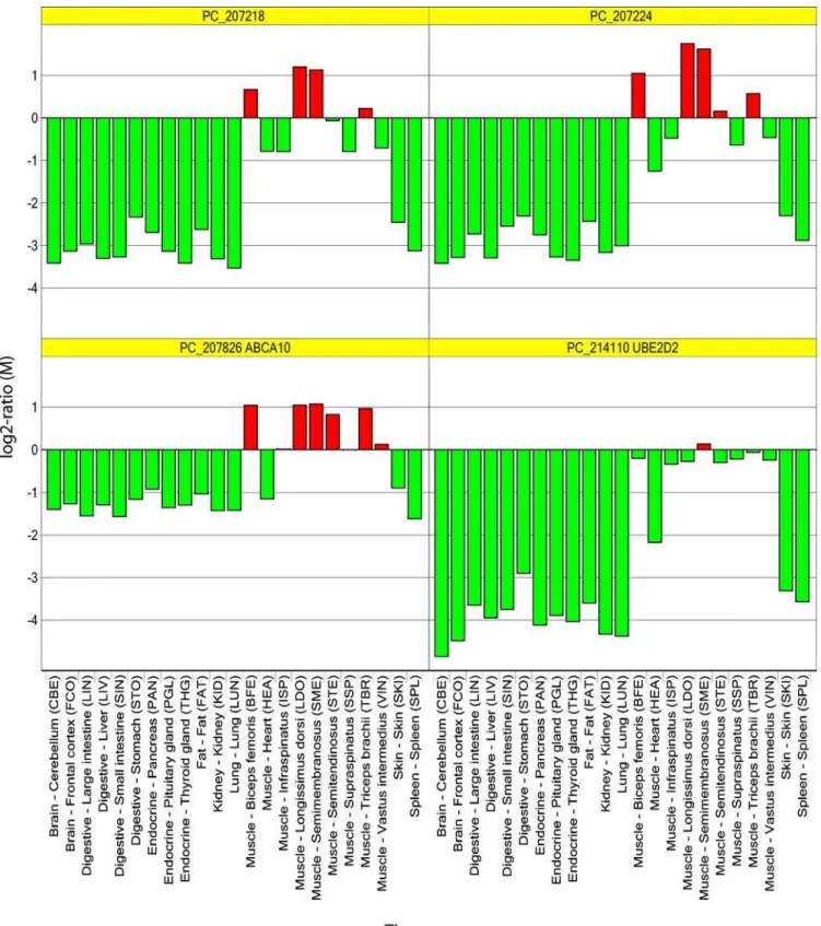 Figure 4. Expression profiles of uncharacterized genes and co-expressed genes with known function