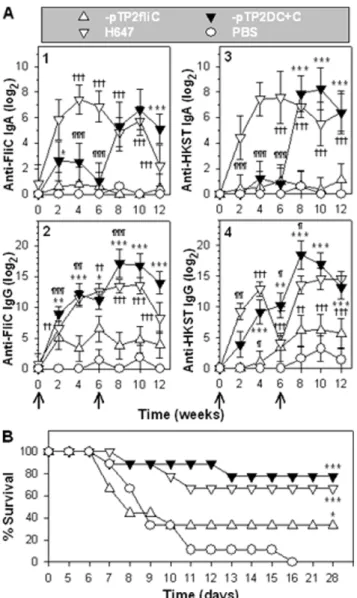Figure 5. The flagellum-attenuated Salmonella strains confer protective immunity against wt Salmonella challenge