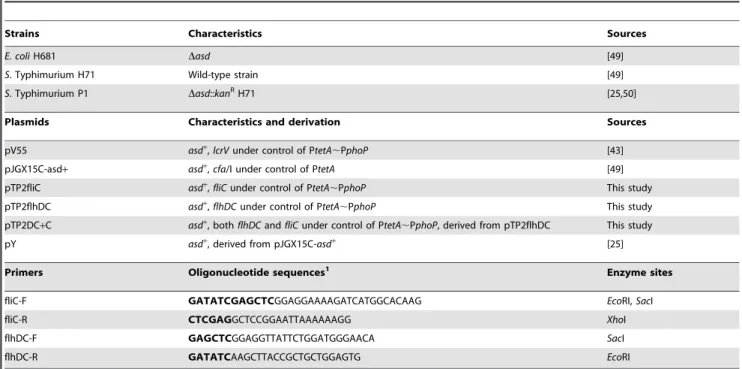 Table 1. Bacterial strains, plasmids, and primers used in this study.