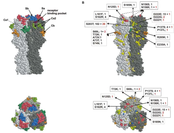 Figure 3. Amino acid differences in the HA between the Finnish pandemic viruses and the vaccine strain A/California/07/2009