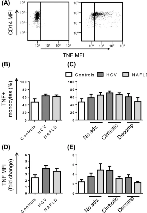 Fig 6. Monocyte TNF production in patients with chronic liver disease (CLD). (A) Representative flow cytometry plots highlighting monocyte specific TNF production at baseline or upon stimulation with LPS
