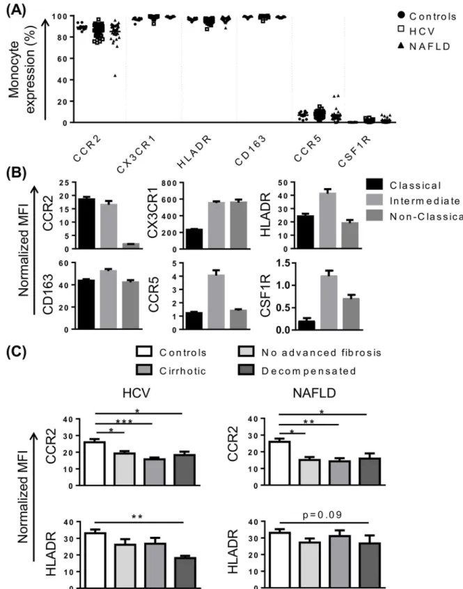 Fig 2. Characterisation of monocyte phenotype in chronic liver disease (CLD). (A) Proportion of monocytes positive for common subset markers in control subjects and patients with HCV or NAFLD