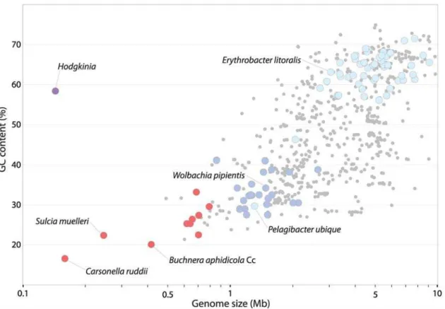 Figure 1. Relationship between genome size and GC content for sequenced Bacterial and Archaeal genomes