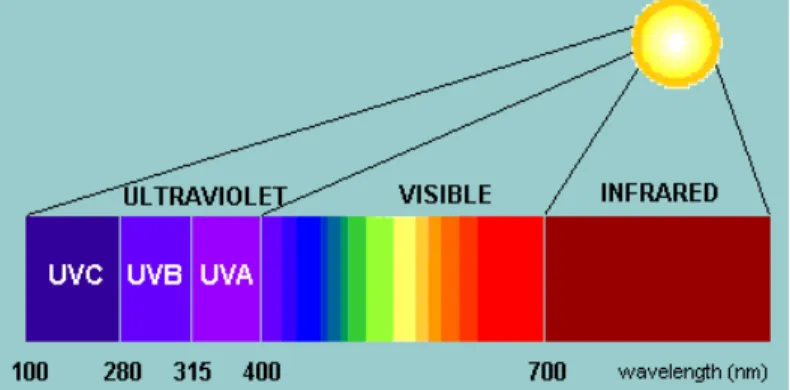 Figure 1: Wavelengths of various types of light. 