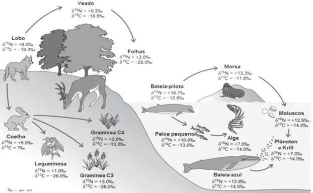 Figura  2.6  -  Valores de  δ13C  e  δ15N  de plantas  e  animais  (colágeno)  em  ambientes  terrestres  e  marinhos  (Price e Burton, 2011) 