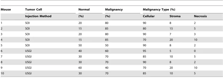 Table 2. Pathological grading of malignancy in 10 orthotopic pancreatic cancer xenografts established with HCT116/dOR+ cells.
