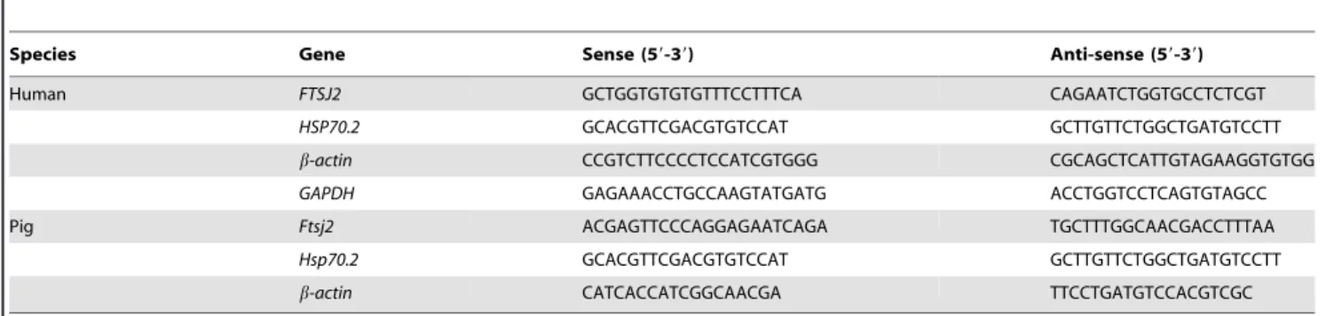 Table 1. Primer sequences for real-time and semi-quantitative RT-PCR.