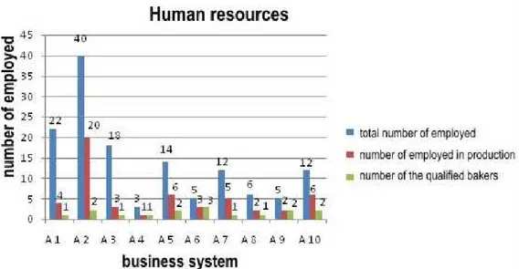 Fig. 2. Human resources structure in bakery plants in the region of Rasina 