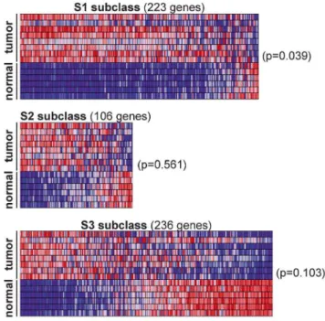Figure 6. Rtl1 -expressing mouse HCCs resemble human S1 subclass. Expression levels for the gene sets defining human HCC subclasses S1, S2, and S3 were analyzed in SB-induced HCCs and normal livers