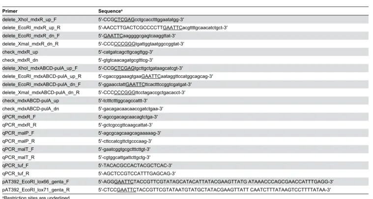 Table 2. Primers used in this study.
