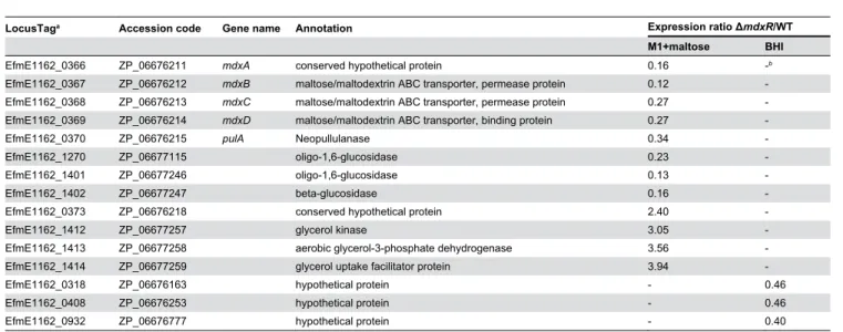 Figure 3.  qRT-PCR analysis of mdxB, malT and malP expression ratios in wild-type E1162 and its isogenic mutant ΔmdxR grown in BHI and maltose