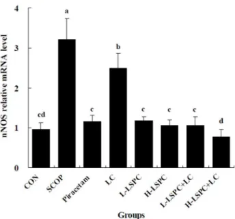Figure 2. Effects of combined proanthocyanidins extracted from lotus seedpod (LSPC) and Lactobacillus casei-01 (LC) on the mRNA level of neural nitric oxide synthase (nNOS)
