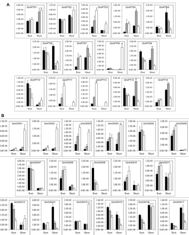 Figure 5. Expression profiles of GmIPT s and GmCKX s in the roots and shoots of 12-day-old soybean seedlings under normal and dehydration conditions