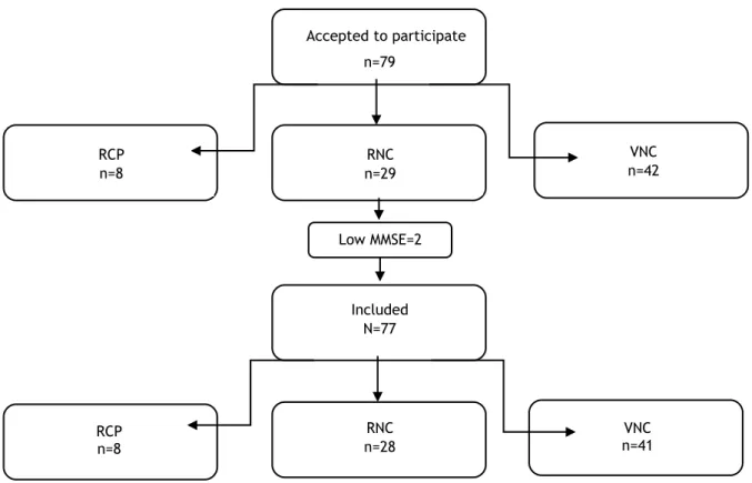 Figure 1. Representative flowchart of the selection sample 