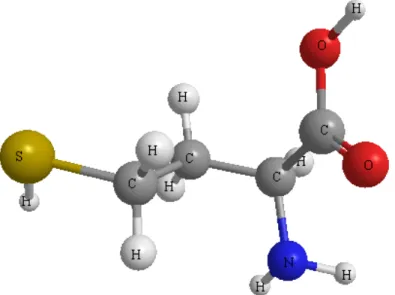 Fig. 2 – Estrutura química da homocisteína gerada pelo software ChemBioDraw Ultra 11.0