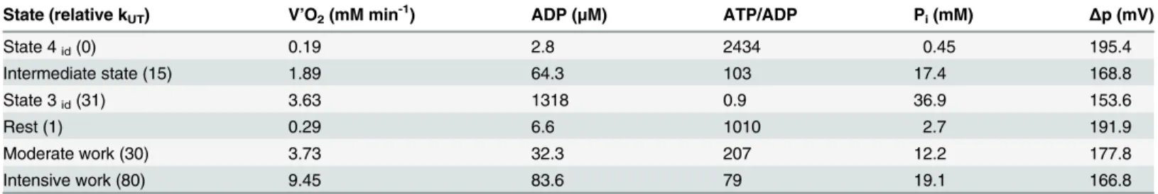 Table 1. Simulated values of V ’ O 2 , ADP, ATP/ADP, P i and Δp in state 4 id , state 3 id , intermediate state, rest, moderate exercise and intensive exercise.