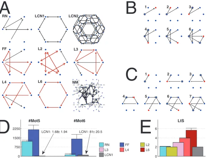 Figure 2. Illustration of network classes. A: Examples of the extreme network types used in the present work