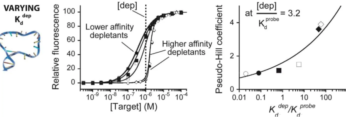 Figure 4. Simulation of the sequestration mechanism. A simulation of equations 1 and 2 illustrates the range of [dep]/K d