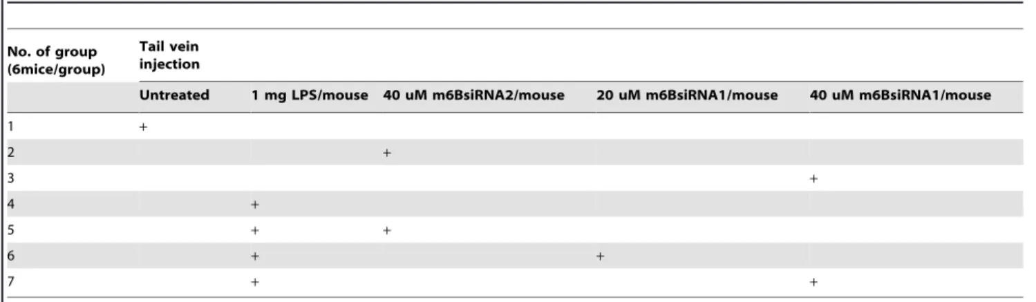 Table 1. Tail vein injection of E.coli LPS plus 6BsiRNA1 or 6BsiRNA2 as the control.