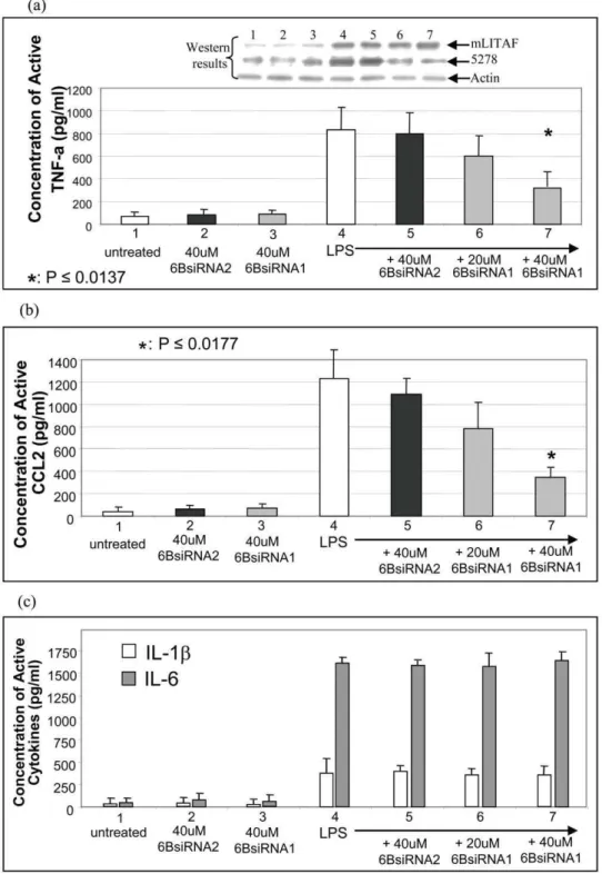 Figure 5. Effect of 6BsiRNA1 on LPS-induced serum TNF- a or CCL2 production. Mice (n = 66 6 groups) were treated as shown in Table 1.
