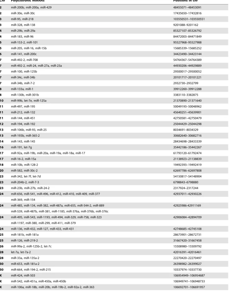 Table 1. Polycistronic miRNAs in horse genome.