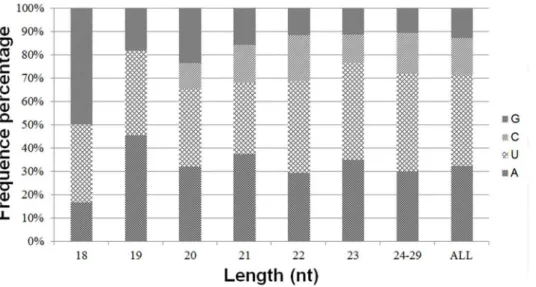 Figure 6. The percentage distribution of the first nucleotide at the 5 9 end of all miRNAs of all lengths