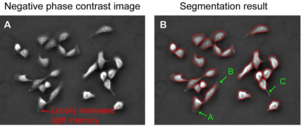 Figure 4. Cell association and detection of cell division. (A) Three detected cells in frame i