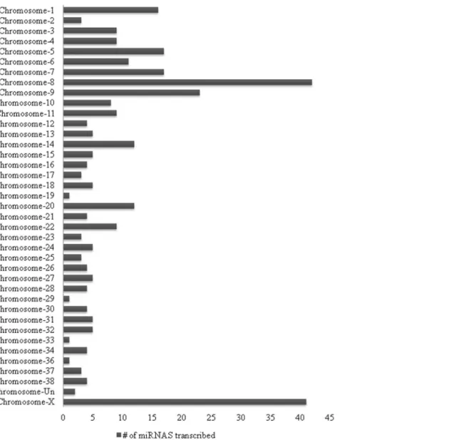 Figure 1. Type of chromosomes from which the number of canine miRNAs (included in the database) are transcribed