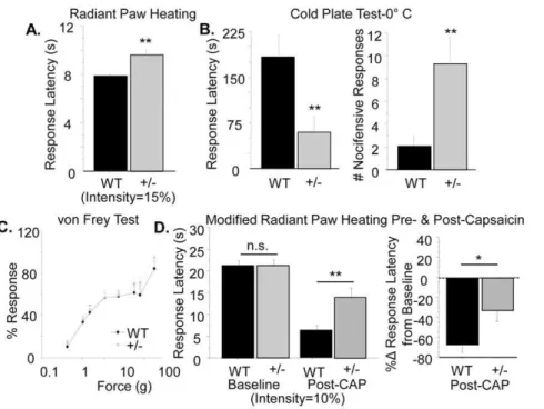 Figure 2. Type III Nrg1 +/2 animals have specific behavioral deficits in responding to noxious thermal stimuli
