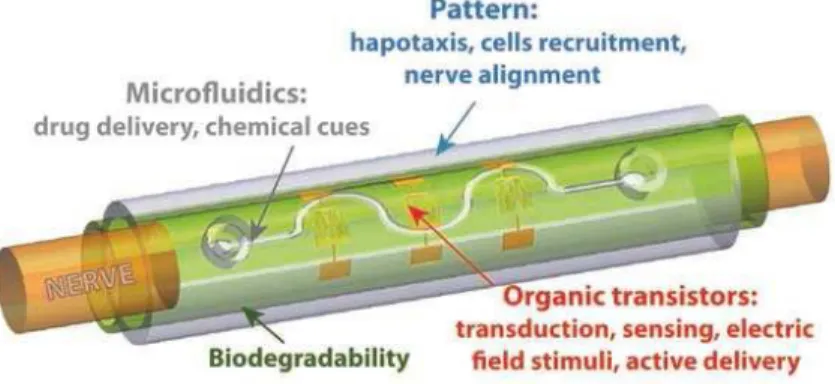 Fig.  1.2  —  Prototype  of  the  iONE  project  device  called  “AMID”  -  Active  Multifunctional Implantable Device