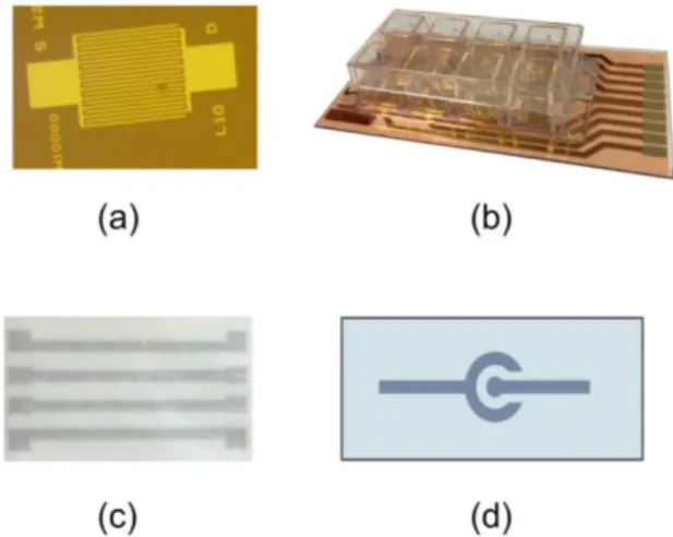 Fig. 2.1 — Electrode designs used in this thesis. (a) Gold microelectrode arrays on top  of  thermal  oxidized  silicon  wafers,  (b)  Commercial  available  electrodes  on  plastic  substrates (PET), (c) Electrode geometries using printed polymers on bact