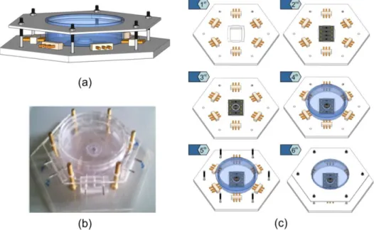 Fig. 2.5 — Schematics of a Petri dish and Chip Holder (PDCH). (a) Schematic  representation of the PDCH, (b) Photograph of a device holder mounted and (c) 