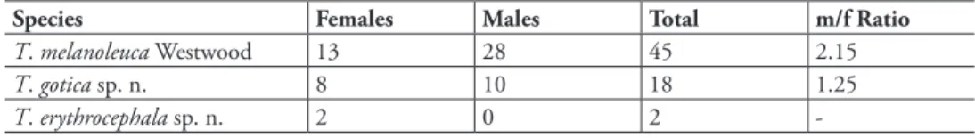 Table 1. Number of specimens of Trigonalidae (Hymenoptera) collected in a cacao agroforestry system in  southeastern Brazil, with totals for each species, for females, males, and total, followed by the  correspond-ing male/female sex ratio (m/f Ratio).