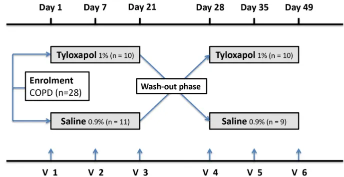 Fig 1. Study design. Phase A patients were treated with either Tyloxapol or saline for 21 days at three inhalations a day