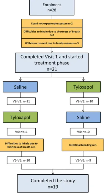 Fig 2. Patient flow chart. 28 patients were initially enrolled, 21 completed visit 1 and started treatment phase, 19 finished the study, 2 dropped out because of the following: intestinal bleeding (n = 1) and difficulties to inhale due to shortness of brea
