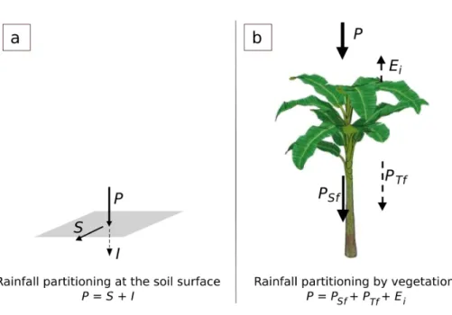 Fig. 1. Rainfall partitioning at the soil surface without vegetation (a) and rainfall partitioning under vegetation (b); with rainfall P , runo ff S, infiltration I, interception and evaporation E i , stemflow P Sf , and throughfall P Tf .