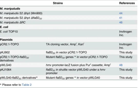 Table 1. Strains and plasmids used in this study.