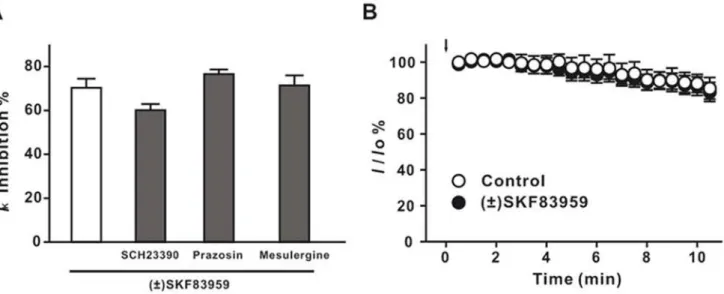 Figure 5. Effects of ( 6 ) SKF83959 on the current-voltage relationships of the delayed rectifier K + current in rat hippocampal neurons