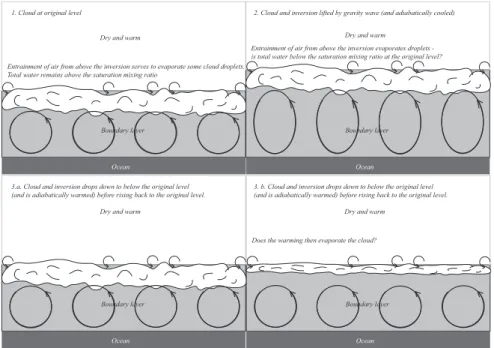 Fig. 1. Schematic of the first hypothesis to be tested: does the cloud clear due to additional cloud top entrainment as a result of the wave? (1) Cloud is at its equilibrium level; (2) Cloud and the inversion are lifted by the gravity wave, which results i