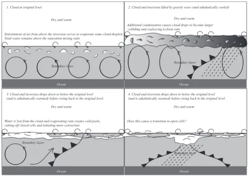 Fig. 2. Schematic of the second hypothesis to be tested: does the cloud clear due to drizzle forming and falling out? (1) Cloud is at its equilibrium level; (2) Cloud and the inversion are lifted by the gravity wave, which results in higher liquid water co