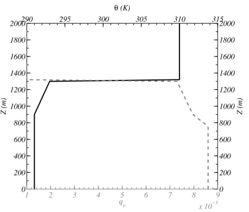 Fig. 4. Initial potential temperature and vapour mixing ratio for the model simulations presented.