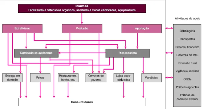 Figura 1. Estrutura da cadeia de produtos orgânicos no Brasil. 
