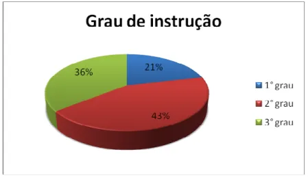 Figura 5: Grau de instrução dos entrevistados. 