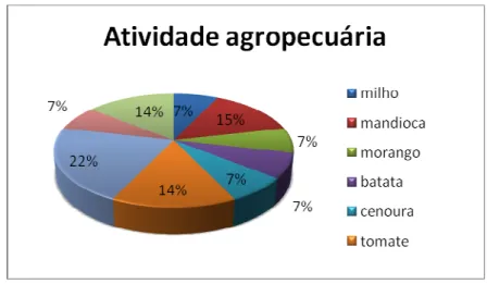 Figura 6: Principal atividade agropecuária exercida em cada propriedade. 