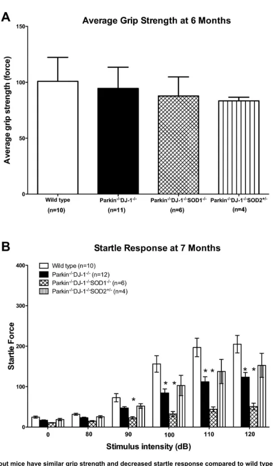 Figure 6.  Knockout mice have similar grip strength and decreased startle response compared to wild type