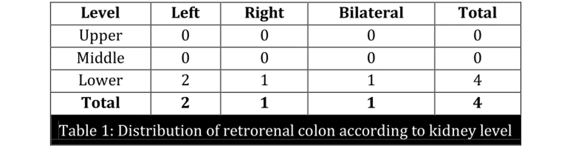 Table 1: Distribution of retrorenal colon according to kidney level 