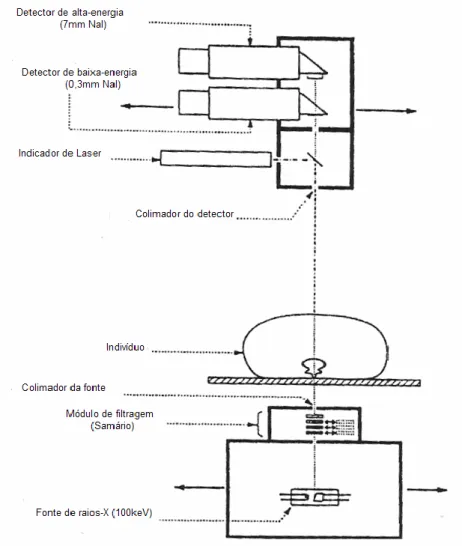 Figura 5 - Funcionamento do parelho DEXA (SANTOS, 2007).   