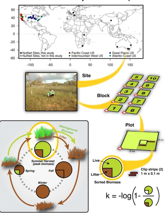 Figure 1. The Nutrient Network is a globally-distributed experiment testing top-down and bottom-up controls over grassland diversity and ecosystem function