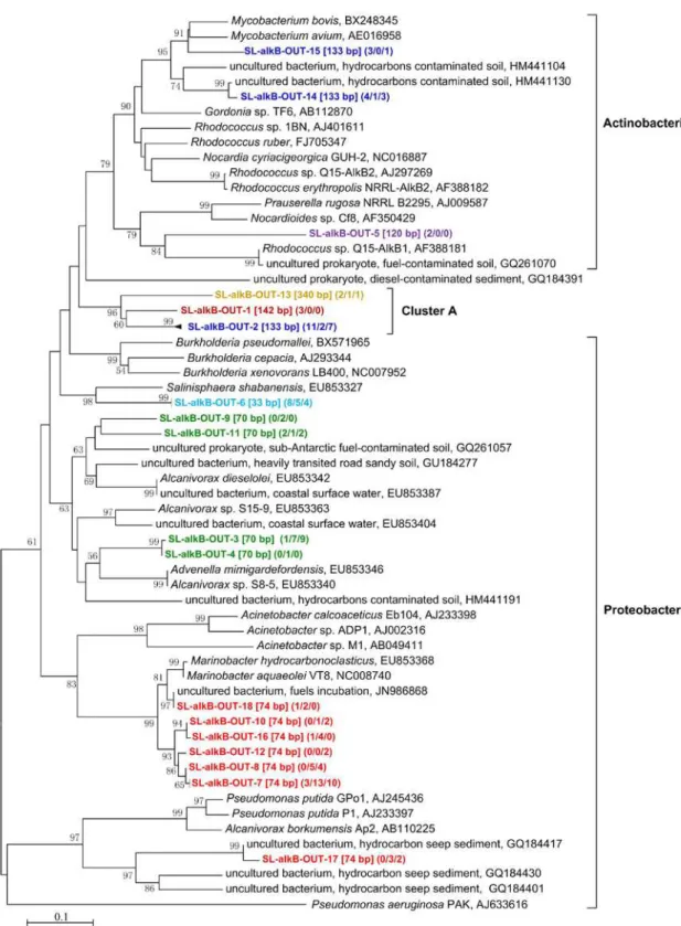 Fig. 2. Phylogenetic relationship of deduced alkB sequences (182 amino acids) generated from different soil samples